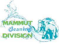 mammut cleaning1